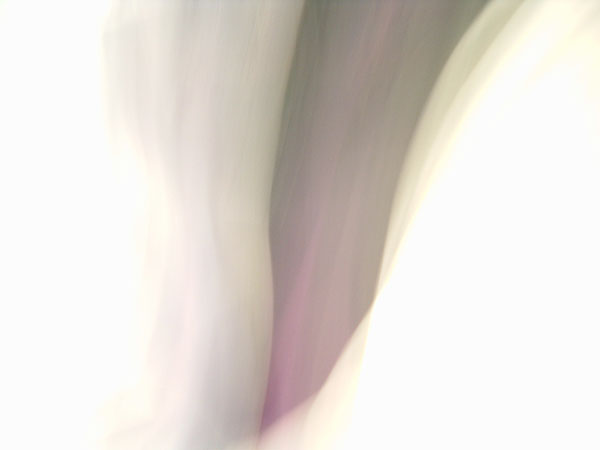 art_folds