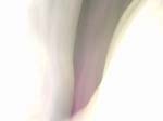 art_folds