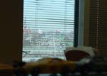 work_viewoutmywindow