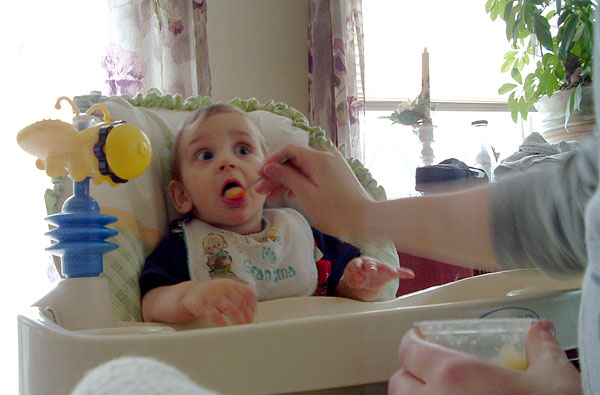 gaylord_eating_machine