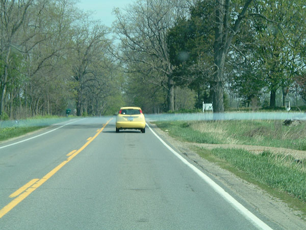bumblebee