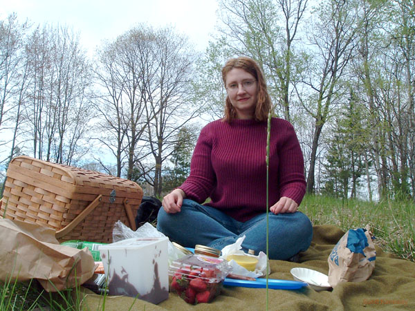 atlanta_picnic