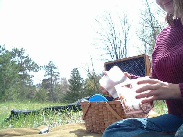atlanta_picnic_closeup