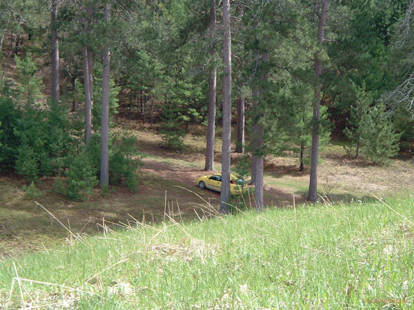 atlanta_picnic_view01