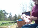 atlanta_picnic_closeup
