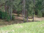 atlanta_picnic_view01
