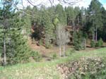 atlanta_picnic_view02