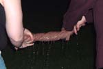 flood_squeeze_closeup