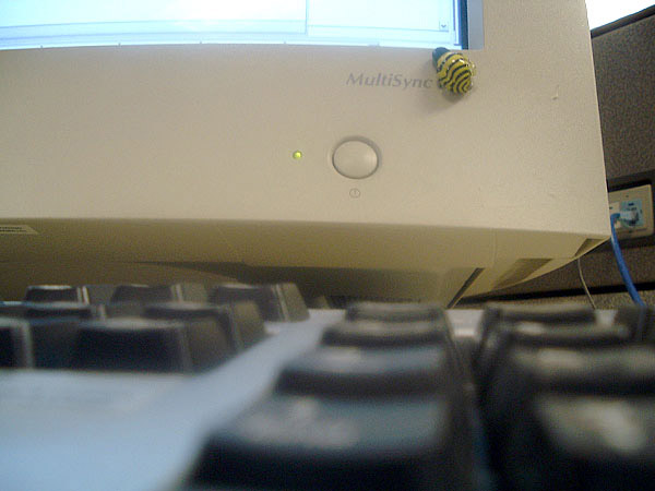 2_bee