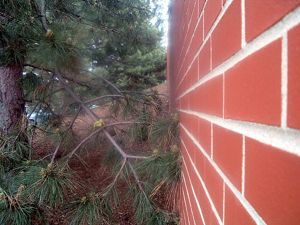 6_lunchwalk