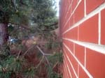 6_lunchwalk
