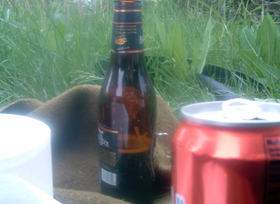 09_picnic