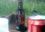 09_picnic