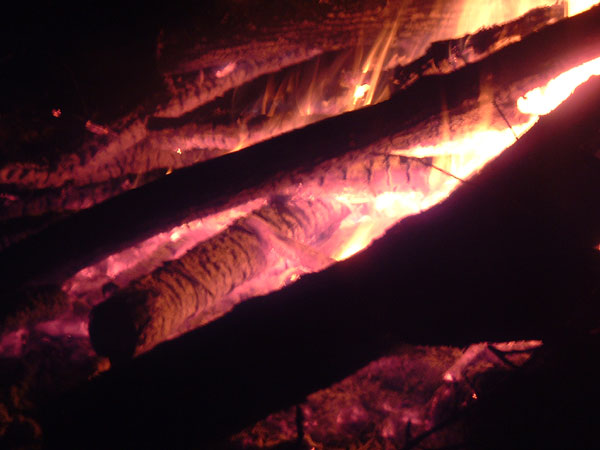 DSCF1122
