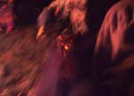 DSCF1125