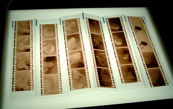 negs_darkroomdeb