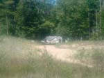 2987_cabin