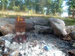 2989_petrifiedteek