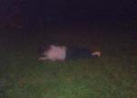 3025_slipnslide