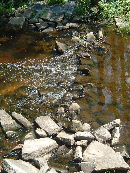 river_bed