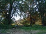 portage_extreehouse