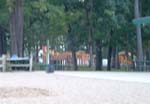 portage_park_junglegym