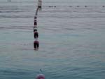 portage_park_water