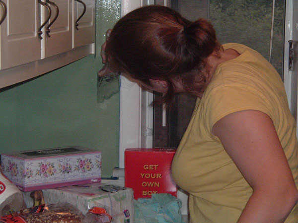 diana_paints_a_green_kitche