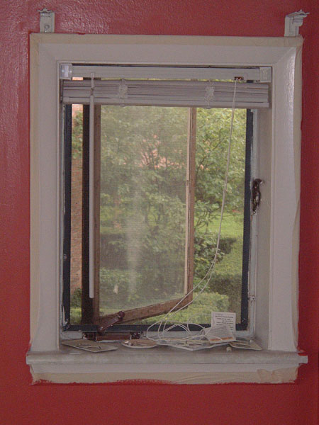 window