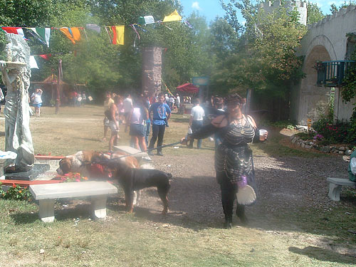 3129_armored_dogwalker