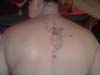 3131_henna_results