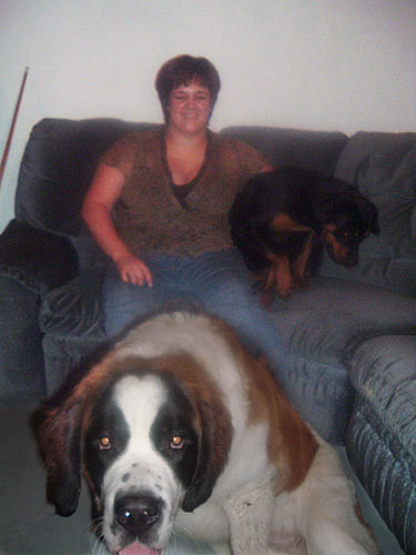 3031_ktdogs
