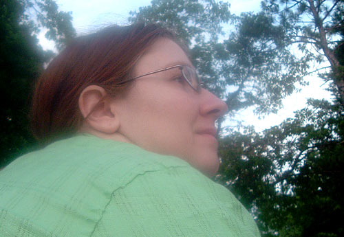 3051_skate_profile