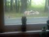 3041_cabinwindow