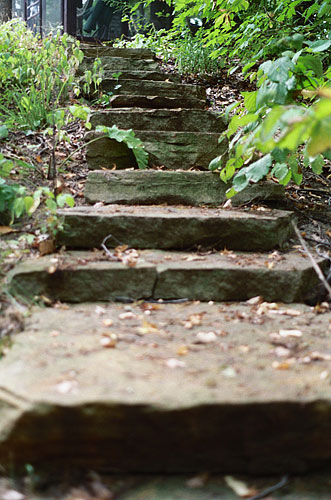 15_steps