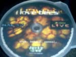 2084ilovebeesdvd