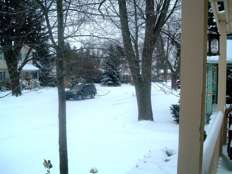 snow2