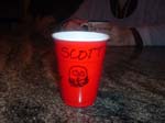 11_my_cup