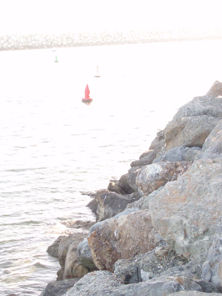losangeles_36