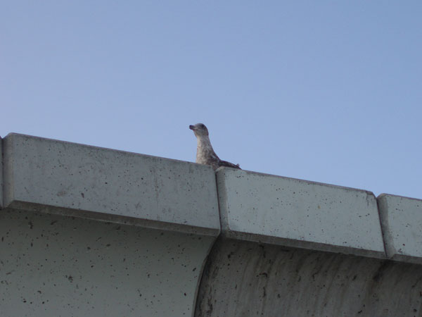 losangeles_48