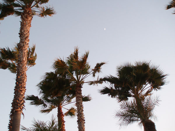 losangeles_65