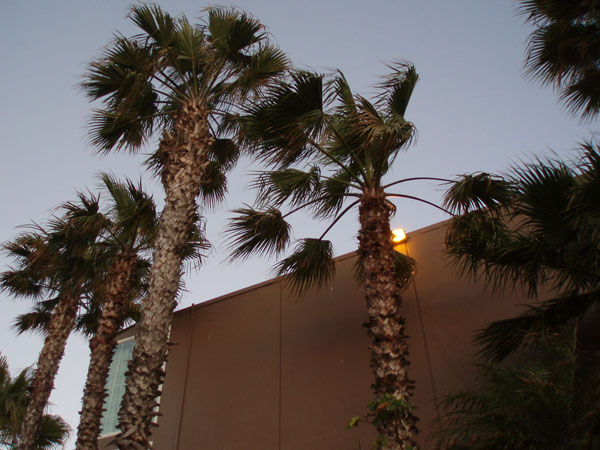 losangeles_72
