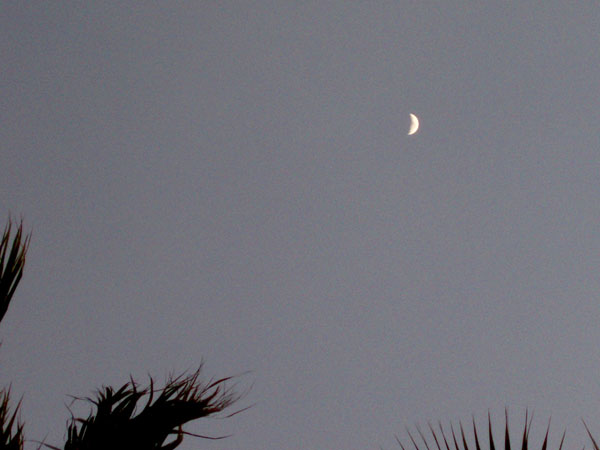 losangeles_73