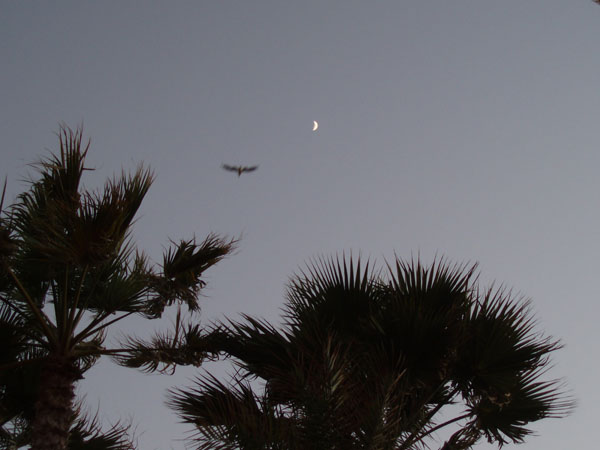 losangeles_76