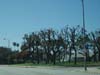 losangeles_21