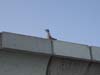 losangeles_48