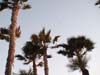 losangeles_65