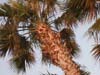 losangeles_67
