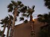 losangeles_72