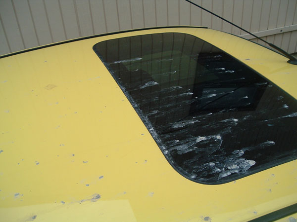 09_mud